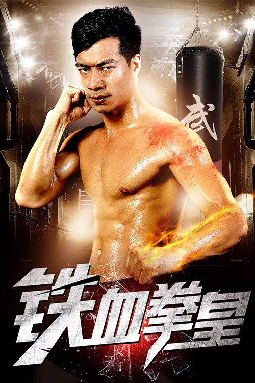 Movie poster for Iron Fist King (2017)