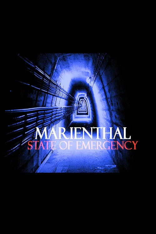 Movie poster for Marienthal: State of Emergency (2002)