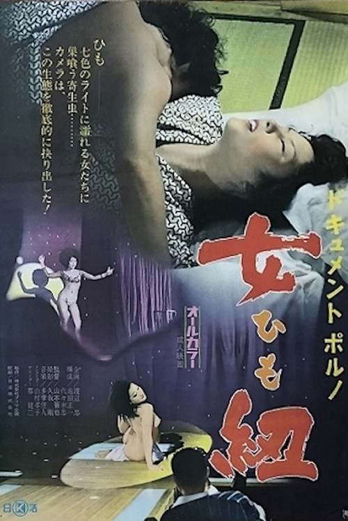 Movie poster for Dokyumento poruno: Himo (1973)