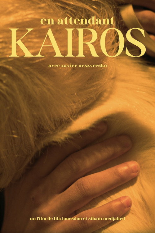 Movie poster for Waiting for Kairos
