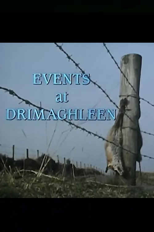 Movie poster for Events at Drimaghleen (1991)