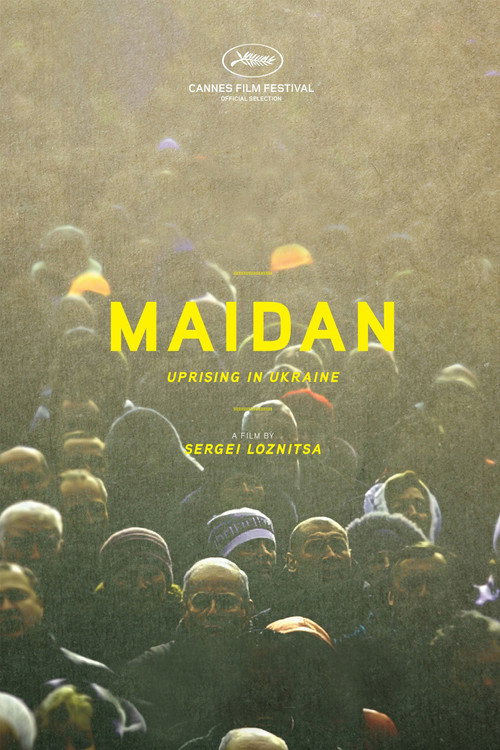 Movie poster for Maidan (2014)