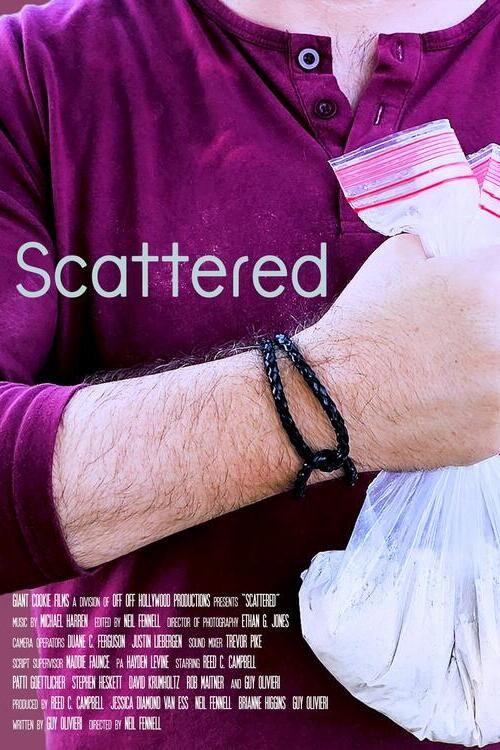 Movie poster for Scattered (2024)