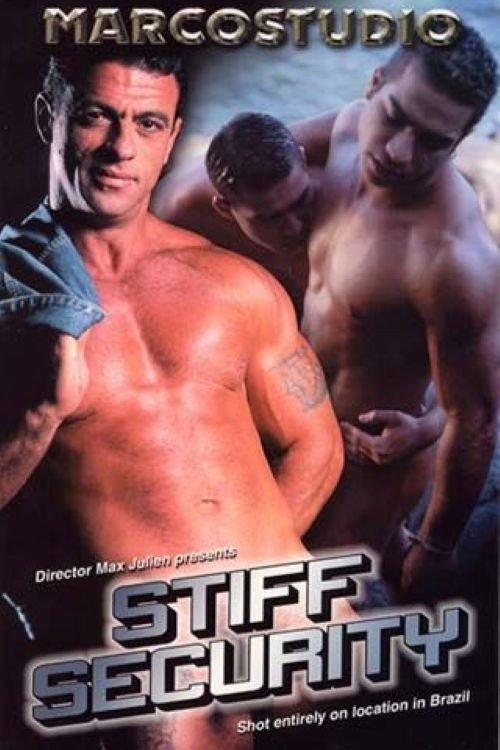 Movie poster for Stiff Security (2002)