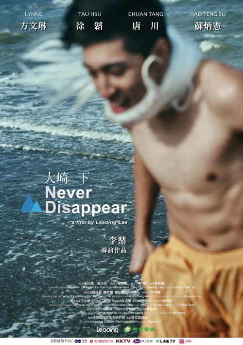 Movie poster for Never Disappear (2018)