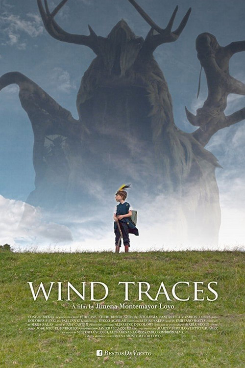 Movie poster for Wind Traces (2019)