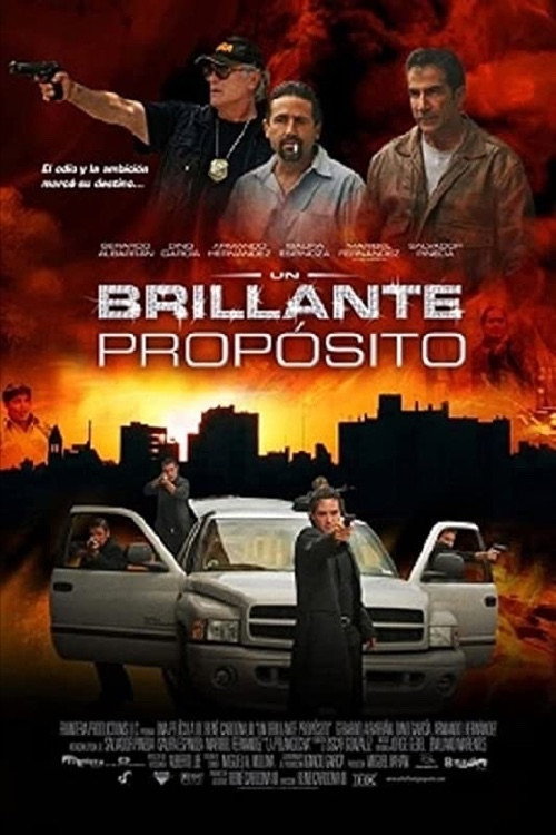 Movie poster for A Bright Purpose (2009)