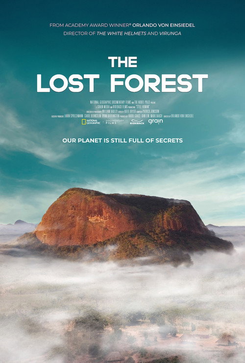 Movie poster for The Lost Forest (2020)