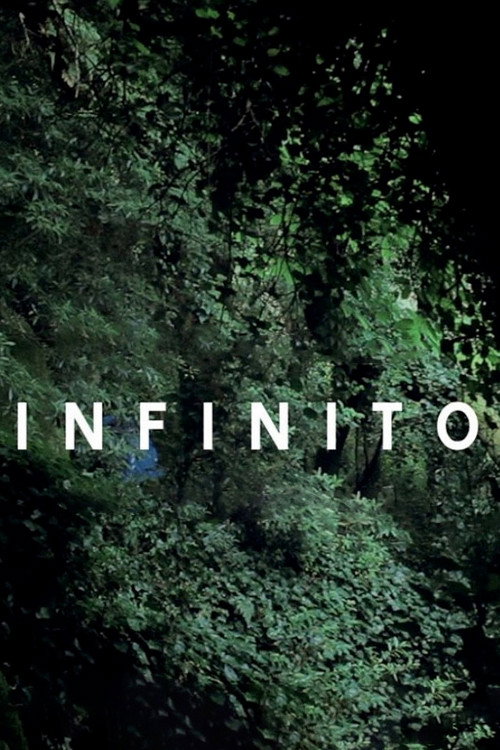 Movie poster for Infinito (2011)