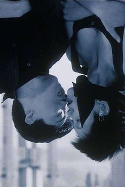 Movie poster for The Rough River, the Placid Sea (2004)
