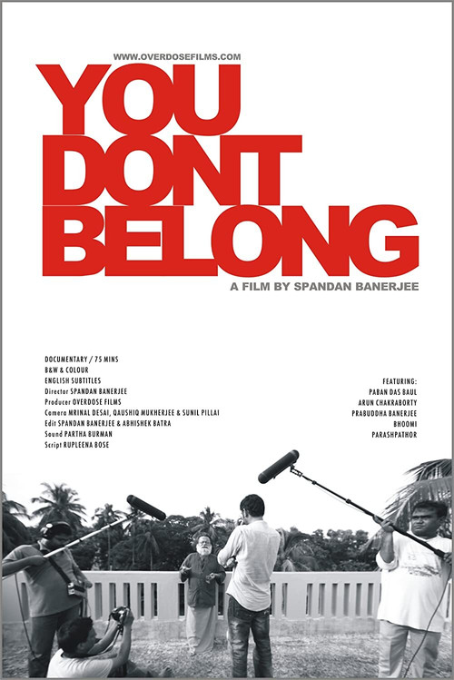 Movie poster for You Don't Belong (2011)