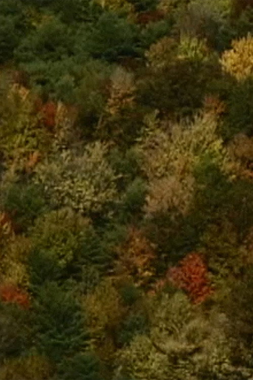 Movie poster for Color Study (2000)