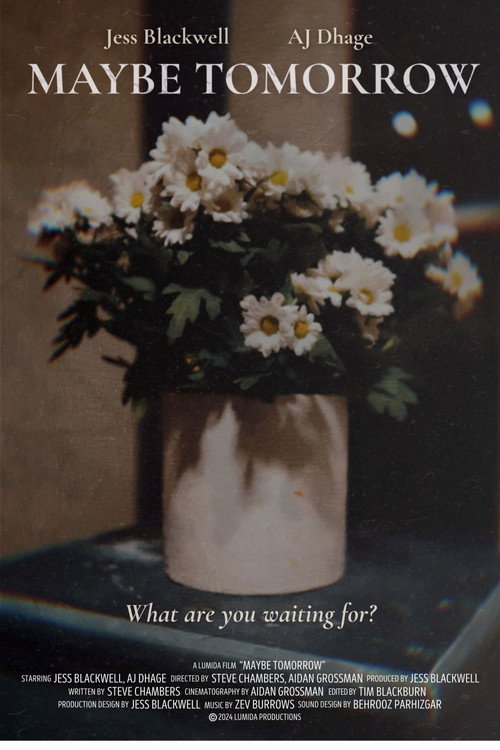 Movie poster for Maybe Tomorrow