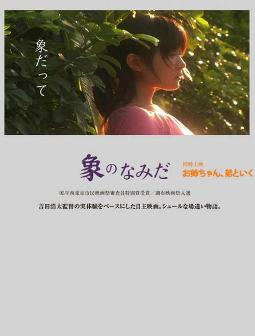 Movie poster for Tears of Elephant (2010)