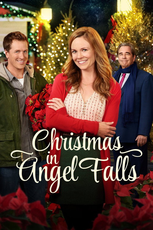 Movie poster for Christmas in Angel Falls (2017)