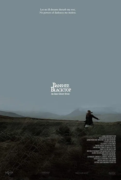 Movie poster for Banshee Blacktop (2016)