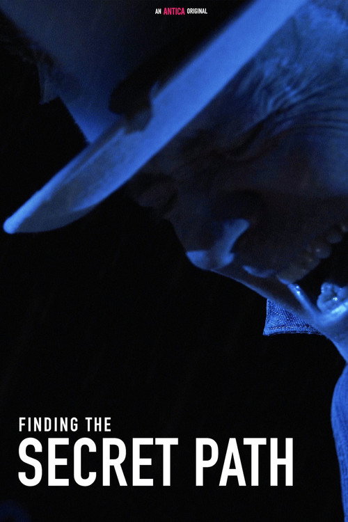Movie poster for Finding the Secret Path (2018)