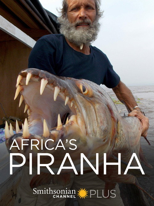 Movie poster for Africa's Piranha (2014)