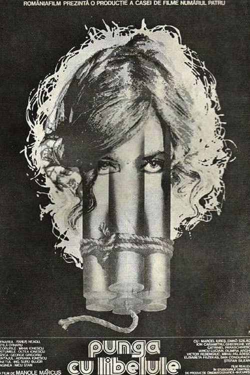Movie poster for The Dragonfly Bag (1981)