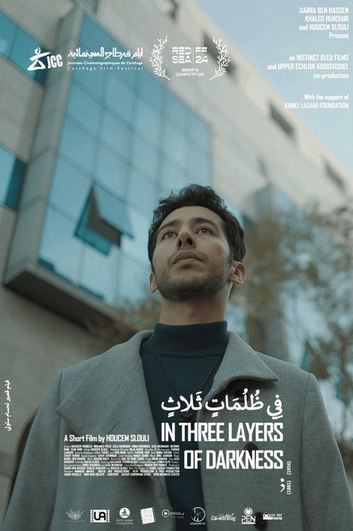 Movie poster for In Three Layers of Darkness (2024)