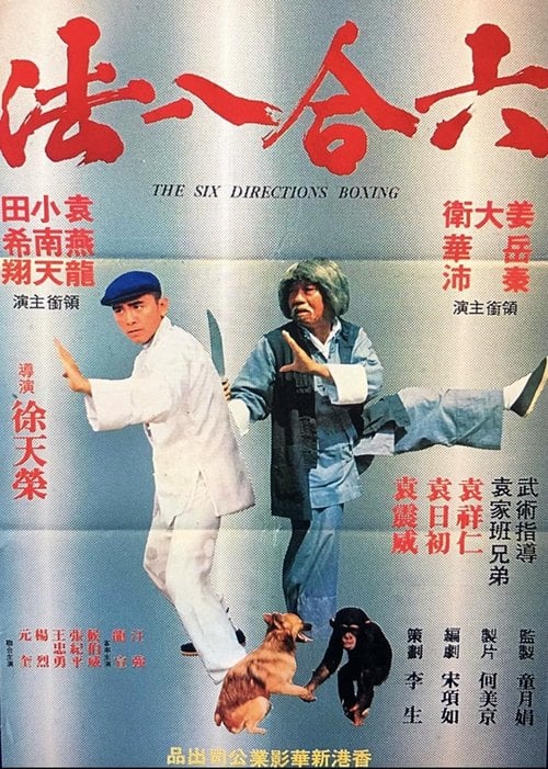 Movie poster for The Six Directions of Boxing (1980)
