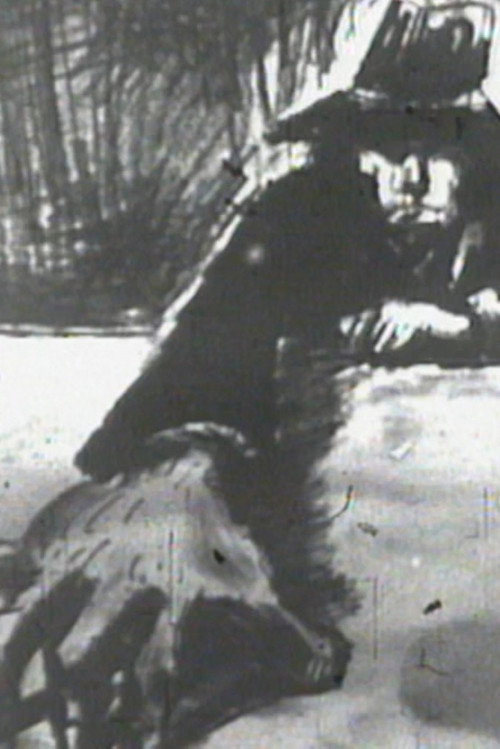 The Man Himself poster