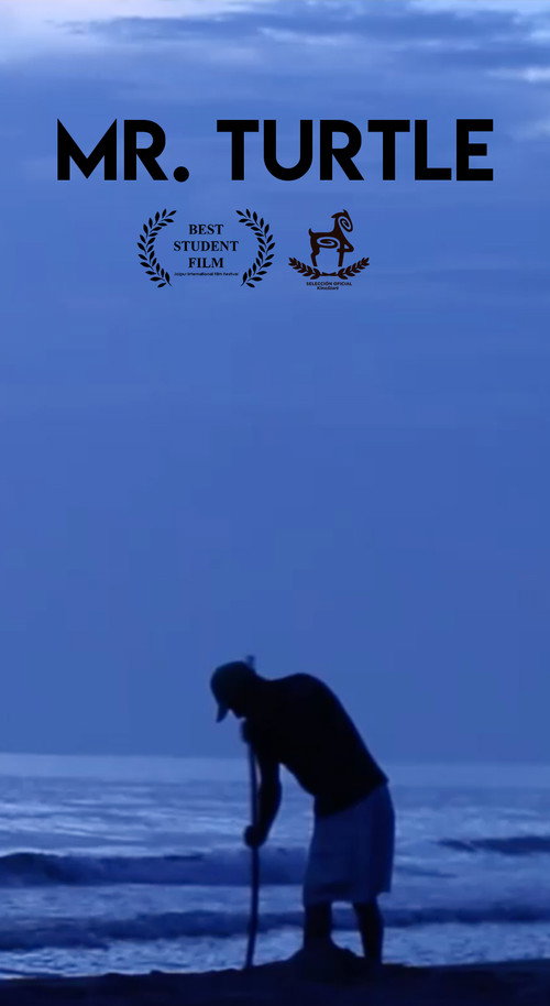 Movie poster for Mr. Turtle (2018)