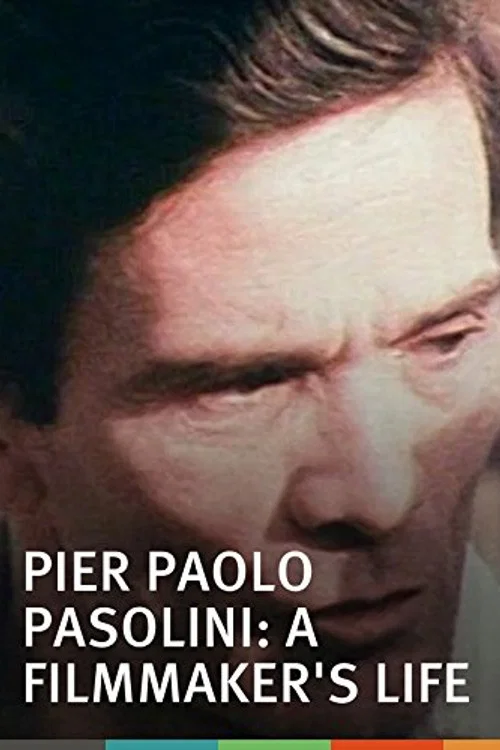 Movie poster for Pier Paolo Pasolini: A Film Maker's Life (1971)