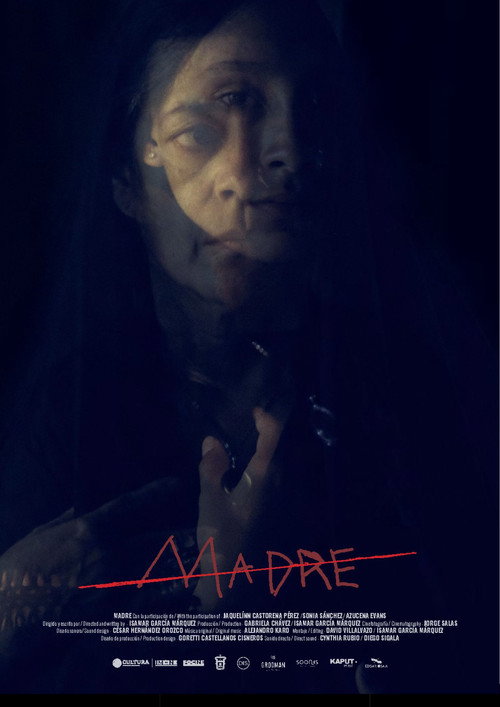 Movie poster for Mother