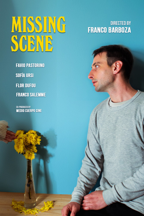 Movie poster for Missing Scene (2024)