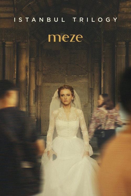 Movie poster for Istanbul Trilogy: Meze (2024)