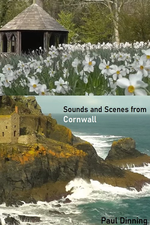 Movie poster for Sounds and Scenes from Cornwall (2024)