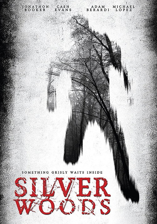Movie poster for Silver Woods (2017)