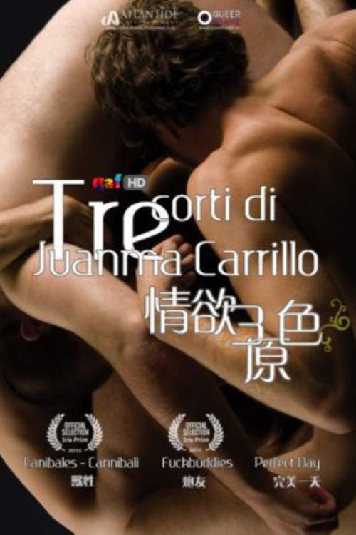 Movie poster for Juanma Carrillo 3 Erotic Shorts (2011)
