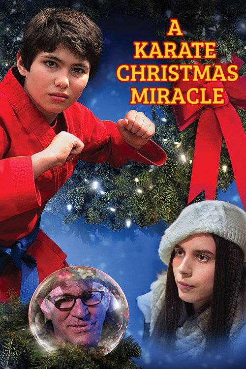 Movie poster for A Karate Christmas Miracle (2019)