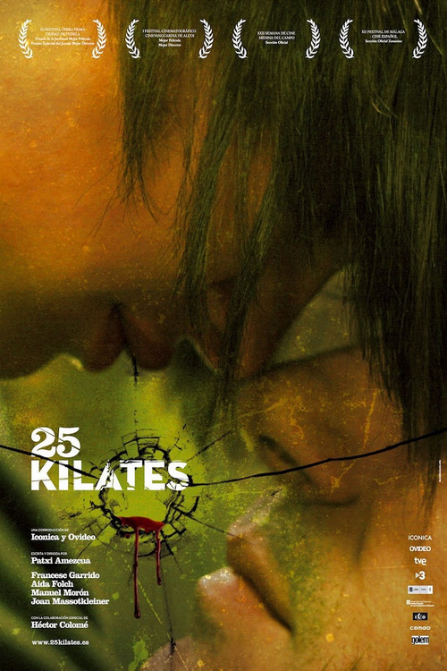 Movie poster for 25 Carat (2008)