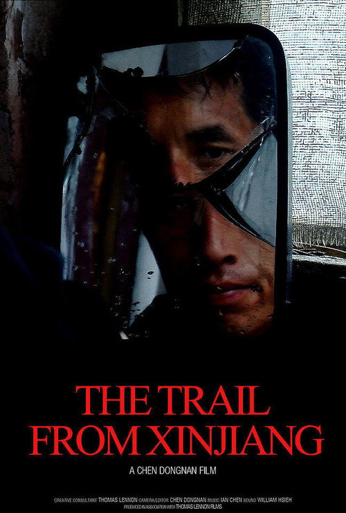 Movie poster for The Trail from Xinjiang (2013)