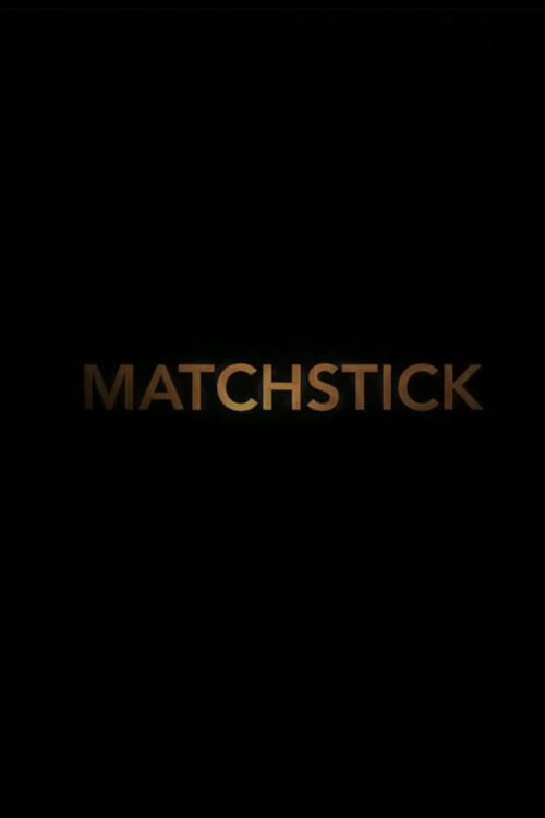 Movie poster for Matchstick (2017)