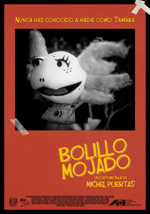 Movie poster for Bolillo Mojado (2024)