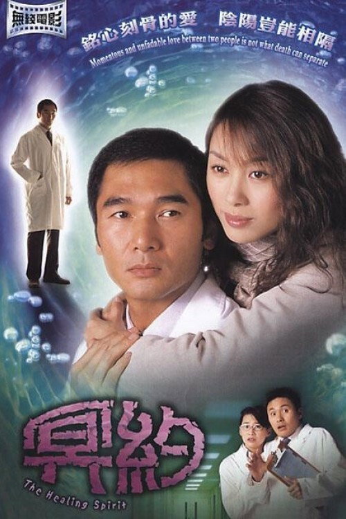 Movie poster for The Healing Spirit (2002)