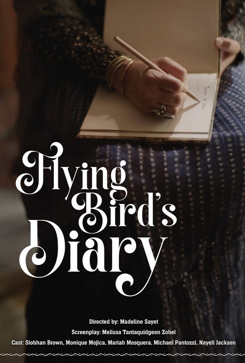 Movie poster for Flying Bird's Diary (2024)