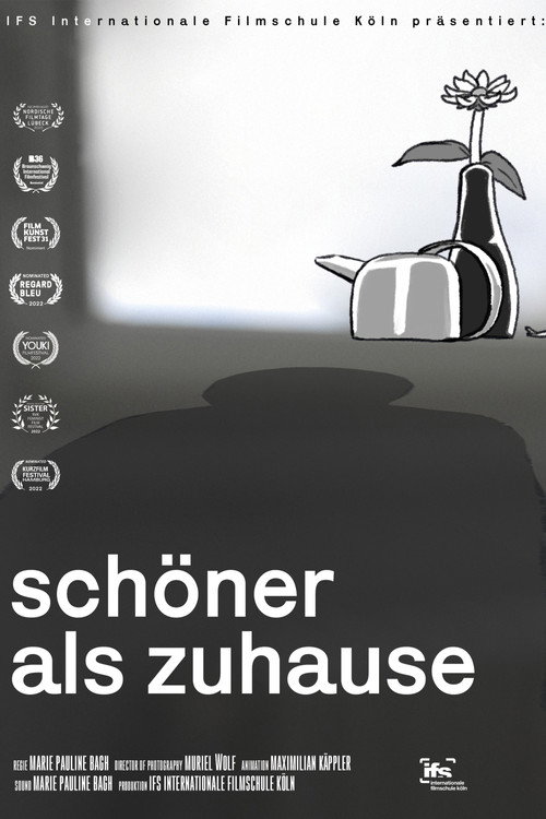 Movie poster for Better than home