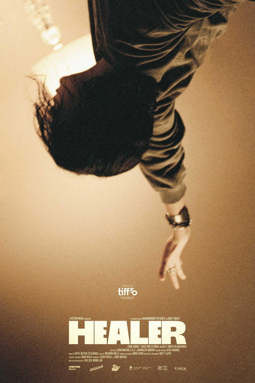 Movie poster for Healer (2025)