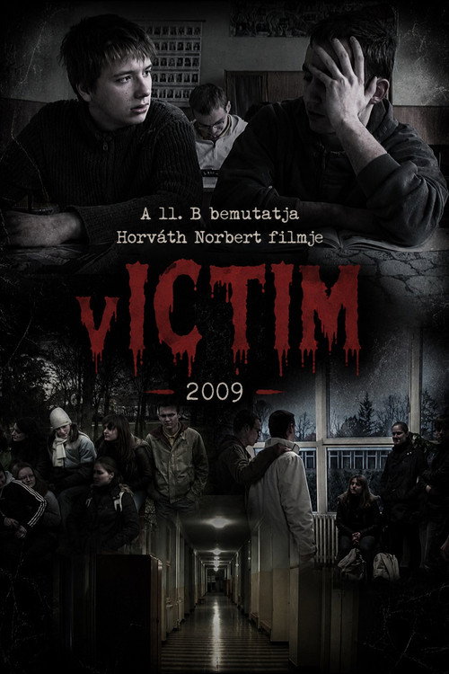 Movie poster for vICTIM (2009)
