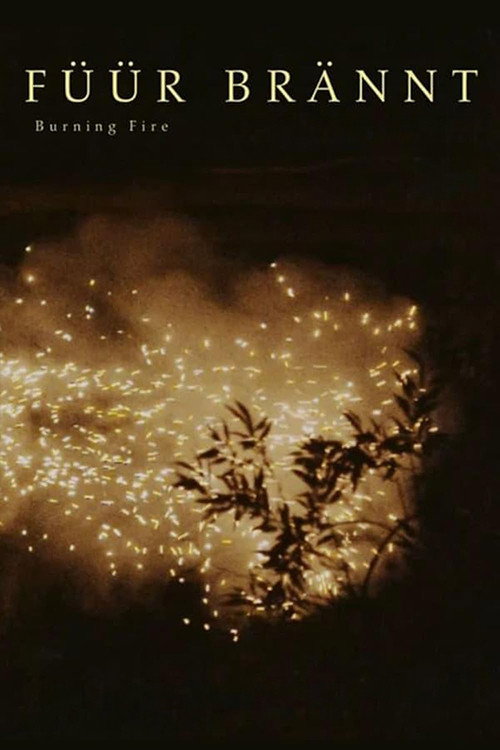 Movie poster for Burning Fire (2023)