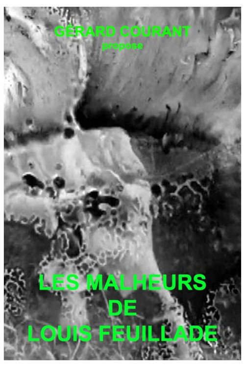 Movie poster for Les Malheurs de Louis Feuillade (2024)