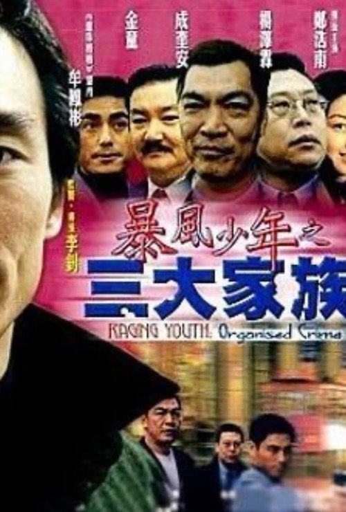 Movie poster for Raging Youth: Organised Crime (1999)
