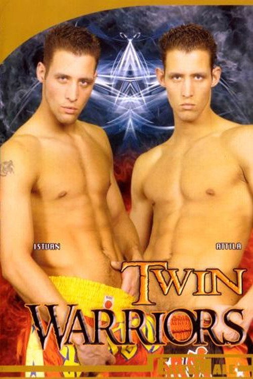 Movie poster for Twin Warriors (2006)