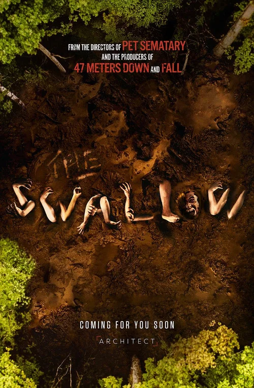 Movie poster for The Swallow