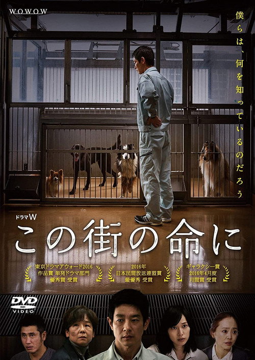 Movie poster for Through Their Eyes (2016)